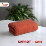 Cam